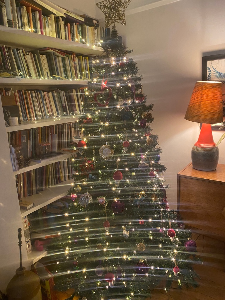 Photo of a Christmas tree with baubles and lights. Books and a lamp in the background