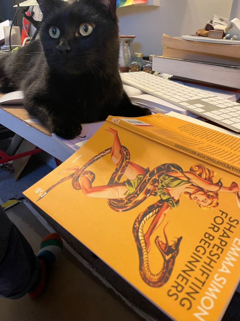 A BLACK CAT READING Emma Simon's Shapeshifting for beginners. It's a yellow cover with an image of a blonde woman wrestling a snake 