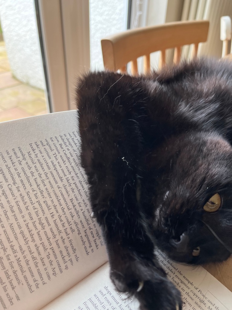 Black cat lolling on a book